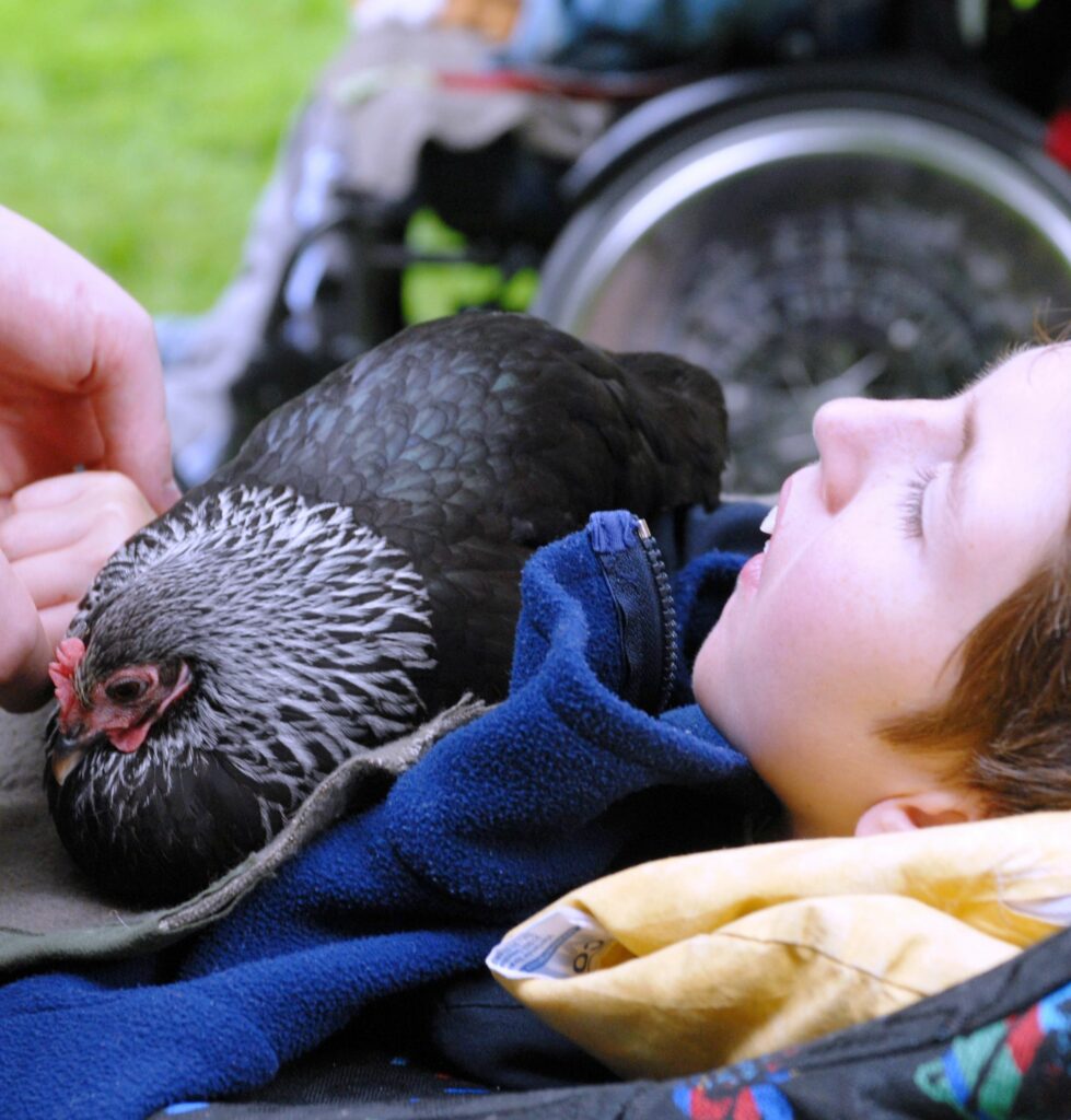 Huhn mit Hand 1 Kopie 979x1024 - Blickpunkt Tiertherapie: Kleine Tiere, große Wirkung ...